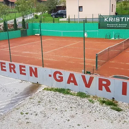 Gavric イン 3*